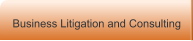 Business Litigation and Consulting