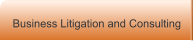 Business Litigation and Consulting